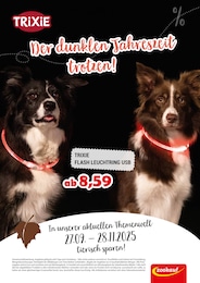 Zookauf Prospekt für Neubrandenburg mit 1 Seite Zookauf Prospekt für Neubrandenburg: "Der dunklen Jahreszeit trotzen!", 1 Seite, 27.09.2025 - 28.11.2025