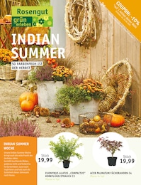 ROSENGUT Langerwisch Prospekt für Großbeuthen: "INDIAN SUMMER", 12 Seiten, 10.09.2025 - 21.09.2025