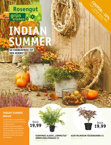ROSENGUT Langerwisch Prospekt INDIAN SUMMER mit 12 Seiten