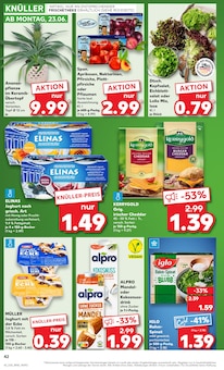 Zucker im aktuellen Kaufland Prospekt (Ulm) Zucker im Kaufland Prospekt "Aktuelle Angebote" mit 52 Seiten (Ulm)