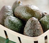 Promo Avocat Affiné à 2,25 € dans le catalogue Intermarché Express à Nantes