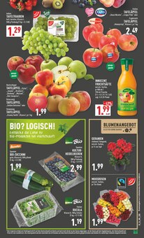 Äpfel im Marktkauf Prospekt "Aktuelle Angebote" mit 40 Seiten (Hagen (Stadt der FernUniversität))