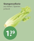 Stangensellerie Angebote bei V-Markt München für 1,39 €