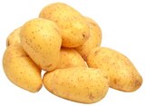 Kartoffeln »Annabelle« bei REWE im Elz Prospekt für 1,19 €