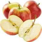 E center Emsdetten Prospekt mit  im Angebot für 2,99 €