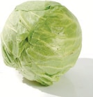 Weißkohl für 0,79 € bei Netto mit dem Scottie im Angebot Weißkohl im aktuellen Netto mit dem Scottie Prospekt