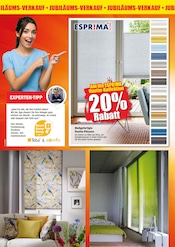 Aktueller Dekor-Markt Prospekt mit Rollo, "JUBILÄUMS-VERKAUF", Seite 8