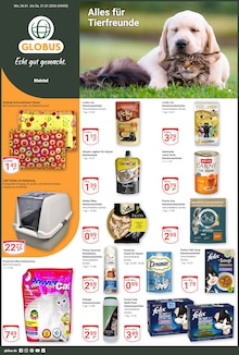 Katzenfutter im GLOBUS Prospekt "Aktuelle Angebote" mit 29 Seiten (Offenbach (Main))