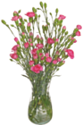 Aktuelle Blumen Angebote bei tegut in Jena Aktuelles Spraynelken Angebot bei tegut in Jena ab 4,99 €