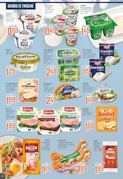 Aktueller K+K - Klaas & Kock Prospekt mit Käse, "Wenn Lebensmittel, dann K+K", Seite 6