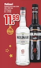 Sambuca extra Angebote von Molinari bei Trinkgut Leverkusen für 11,99 €