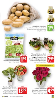 Blumentopf im aktuellen EDEKA Prospekt (Karlsruhe) Blumentopf im EDEKA Prospekt "Aktuelle Angebote" mit 48 Seiten (Karlsruhe)