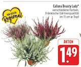 Calluna Beauty Lady im Angebot bei EDEKA in Leipzig Calluna Beauty Lady Angebote bei EDEKA Leipzig für 1,49 €