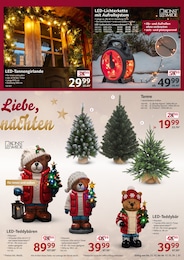 Lichterkette Angebot & Preis im aktuellen Selgros Prospekt Lichterkette Angebot im aktuellen Selgros Prospekt auf Seite 21