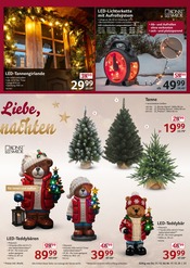 Lichterketten Angebote im Prospekt "cash & carry" von Selgros Lichterketten Angebote im Prospekt "cash & carry" von Selgros auf Seite 21