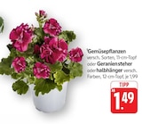 Gemüsepflanzen bei E center im Laupheim Prospekt für 1,49 €