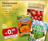 Sonderpreis Baumarkt Nordhausen Prospekt mit  im Angebot für 0,39 €