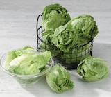 Salade sucrine - Super U à Nanterre Salade sucrine en promo chez Super U Nanterre à 0,99 €