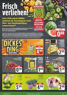 Kartoffeln im aktuellen E center Prospekt (Chemnitz) Kartoffeln im E center Prospekt "Wir lieben Lebensmittel!" mit 28 Seiten (Chemnitz)