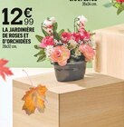 Promo LA JARDINIÈRE DE ROSES ET D’ORCHIDÉES à 12,99 € dans le catalogue Centrakor "TOUSSAINT"