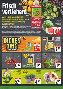 Pflanzen im aktuellen E center Prospekt (Jena) Pflanzen im E center Prospekt "Wir lieben Lebensmittel!" mit 30 Seiten (Jena)