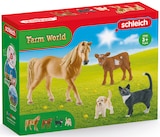 Farm World Starter Set von Schleich im aktuellen Rossmann Prospekt für 12,99 €