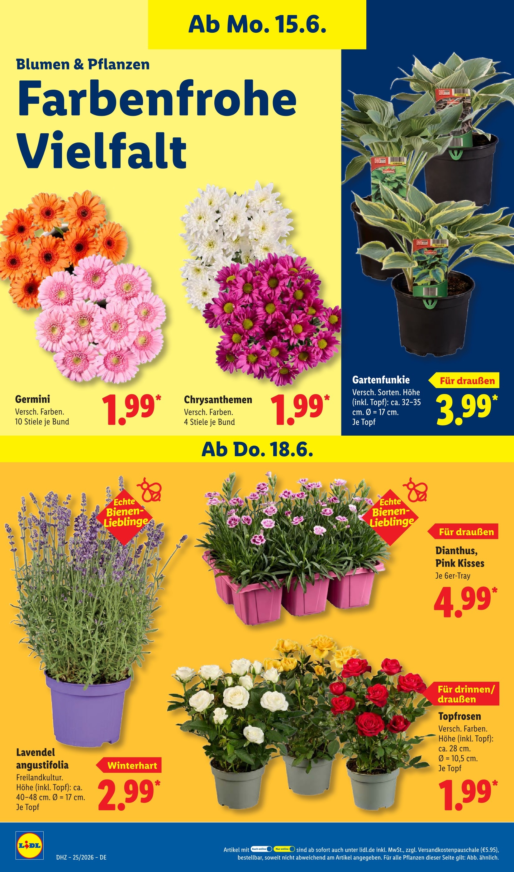 Lidl Pflanzen Angebot  Finde den Preis im aktuellen Prospekt