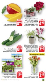Blumen im EDEKA Prospekt in Weinheim Aktueller EDEKA Prospekt mit Blumen, "Aktuelle Angebote", Seite 14