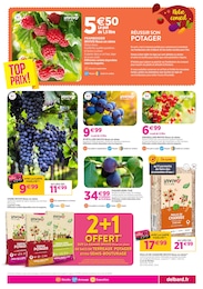 Prix et réduction Terreau dans le prospectus Delbard en cours Offre Terreau dans le catalogue Delbard du moment à la page 3