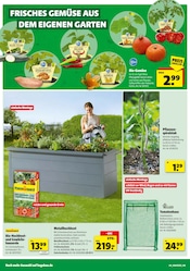 Bio Lebensmittel im Hagebaumarkt Prospekt in Mülheim Aktueller Hagebaumarkt Prospekt mit Bio Lebensmittel, "Sonnenstrom tanken? SO günstig geht das!", Seite 4