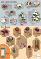 Promos Jardin dans le catalogue "TOUSSAINT fleurir le souvenir" de Maxi Bazar à la page 4 Promos Jardin dans le catalogue "TOUSSAINT fleurir le souvenir" de Maxi Bazar à la page 4