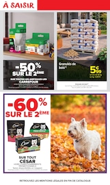 Promos Ampoule dans le catalogue "HAHA HALLOWEEN" de Carrefour Market Ampoule en promo dans le catalogue Carrefour Market à la page 39