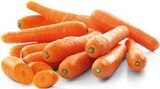 Penny-Markt Neumünster - Karotten Angebot im Prospekt Karotten bei Penny-Markt im Neumünster Prospekt für 1,99 €