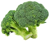 Broccoli Angebote von REWE Bio bei REWE Görlitz für 1,79 €