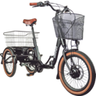 FALT-E-TRIKE MINNA Angebote von BLAUPUNKT bei Marktkauf Heidenheim für 2.699,00 €