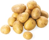 Speisekartoffeln bei REWE im Prospekt "" für 3,79 €