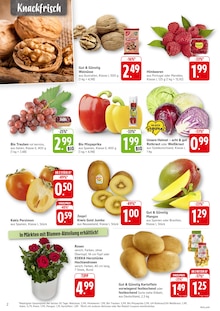 Aktueller EDEKA Prospekt "Aktuelle Angebote" für Sternenfels Aktueller EDEKA Prospekt für Sternenfels mit  Seiten