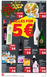 Ähnliche Rhododendron Angebote im Prospekt "Hier bin ich richtig" von Kaufland in Jena Ähnliche Angebote wie Rhododendron im Prospekt "Hier bin ich richtig" auf Seite 11 von Kaufland in Jena