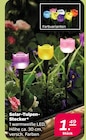 Solar-Tulpen-Stecker Angebote bei Netto mit dem Scottie Elmshorn für 1,49 €