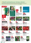 Plantes Plantes