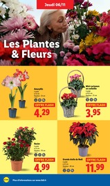 Plantes Angebote im Prospekt "Votre quotidien à petits prix, ça vaut le coup." von Lidl auf Seite 38
