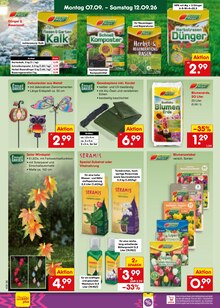 Gartenerde im Netto Marken-Discount Prospekt "Aktuelle Angebote" mit 67 Seiten (Mönchengladbach)