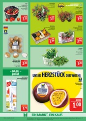 Dekoration im Marktkauf Prospekt in Bautzen Aktueller Marktkauf Prospekt mit Dekoration, "AUSWAHL RIESIG, PREISE NIEDRIG", Seite 9