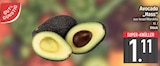 Avocado Hass von Gut & Günstig im aktuellen EDEKA Prospekt für 1,11 €