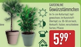 Gewürzstämmchen von Gardenline im aktuellen ALDI Nord Prospekt