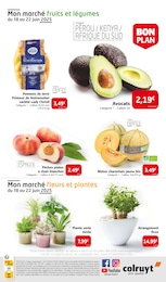 Prix et réduction Pomme De Terre dans le prospectus Colruyt en cours Offre Pomme De Terre dans le catalogue Colruyt du moment à la page 33