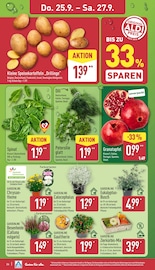 Kartoffeln im ALDI Nord Prospekt in Mettmann Aktueller ALDI Nord Prospekt mit Kartoffeln, "Aktuelle Angebote", Seite 30