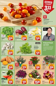 Tomaten im aktuellen REWE Prospekt (Braunschweig) Tomaten im REWE Prospekt "Dein Markt" mit 36 Seiten (Braunschweig)
