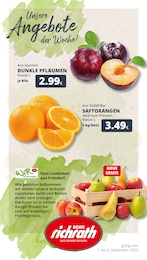 REWE Prospekt für Hürth mit 24 Seiten REWE Prospekt für Hürth: "Dein Markt", 24 Seiten, 01.09.2025 - 06.09.2025