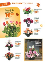 Fleurs Artificielles Angebote im Prospekt "VIVEZ TOUTES LES COULEURS DE L'AUTOMNE !" von Ma Jardinerie auf Seite 6